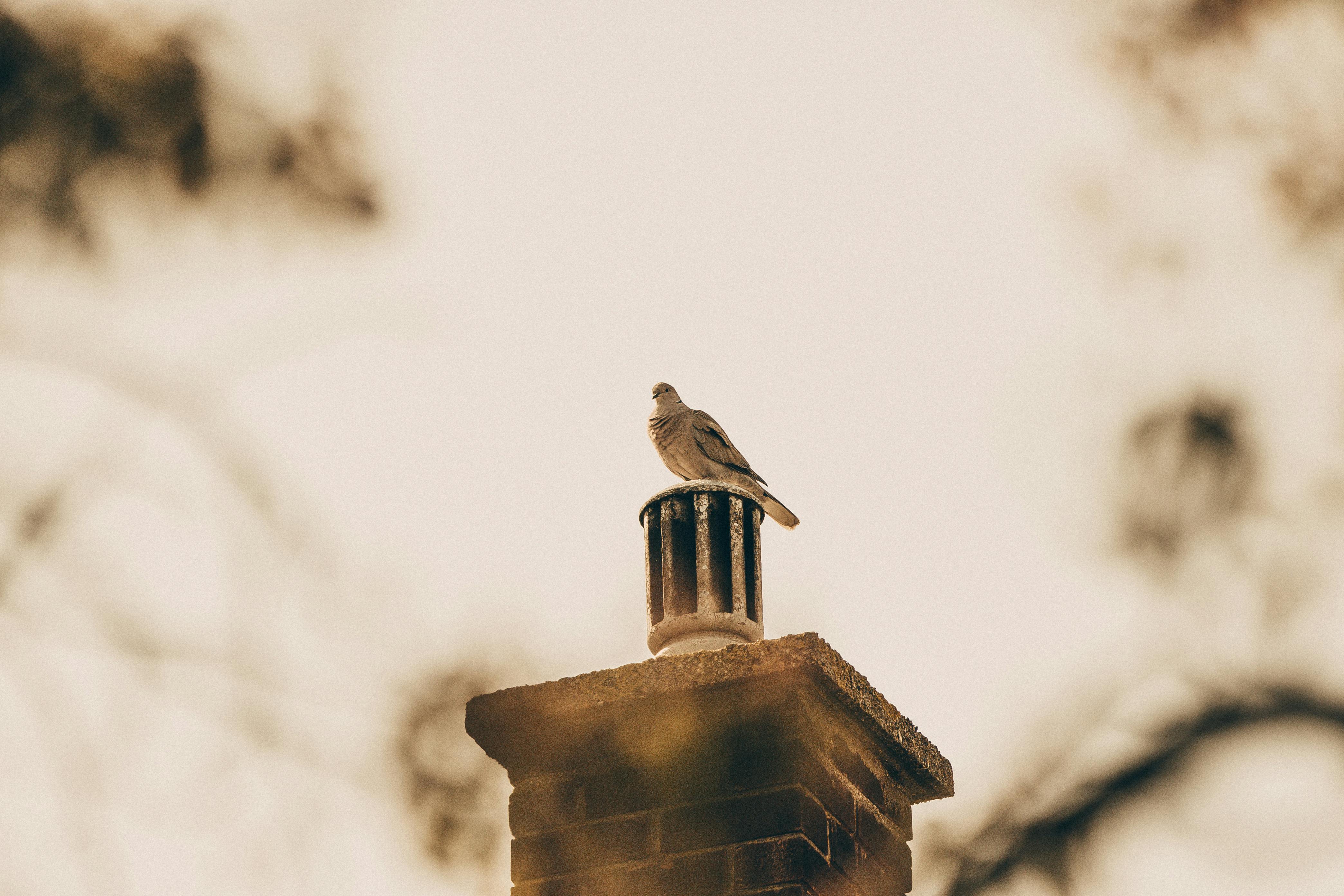 Professional Chimney Cap Installation Services in Hammond, IL Expert Chimney Cap Installation in Hammond, Illinois